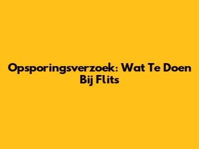 Opsporingsverzoek: Wat Te Doen Bij Flits