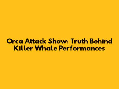 Orca Attack Show: Truth Behind Killer Whale Performances