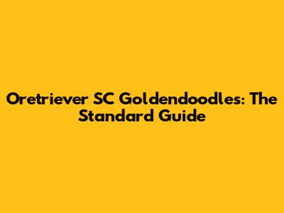 Oretriever SC Goldendoodles: The Standard Guide
