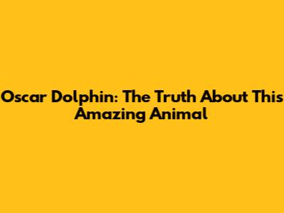 Oscar Dolphin: The Truth About This Amazing Animal