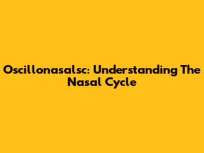 Oscillonasalsc: Understanding The Nasal Cycle
