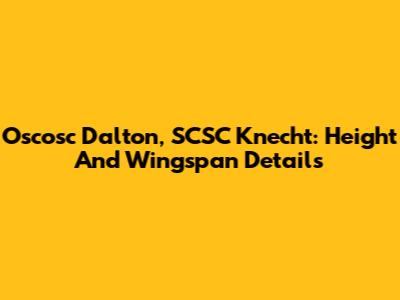 Oscosc Dalton, SCSC Knecht: Height And Wingspan Details