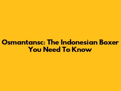 Osmantansc: The Indonesian Boxer You Need To Know