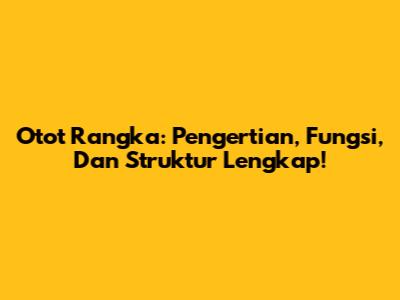 Otot Rangka: Pengertian, Fungsi, Dan Struktur Lengkap!