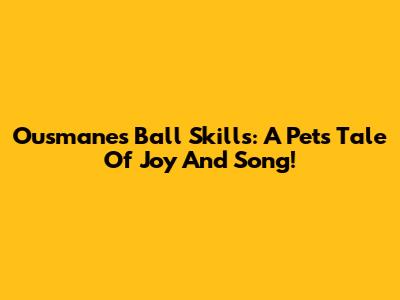 Ousmane's Ball Skills: A Pet's Tale Of Joy And Song!