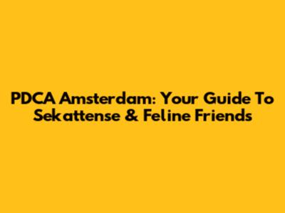 PDCA Amsterdam: Your Guide To Sekattense & Feline Friends