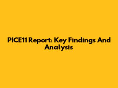 PICE11 Report: Key Findings And Analysis