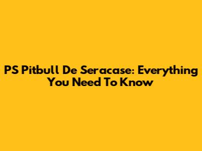 PS Pitbull De Seracase: Everything You Need To Know