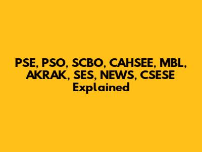 PSE, PSO, SCBO, CAHSEE, MBL, AKRAK, SES, NEWS, CSESE Explained