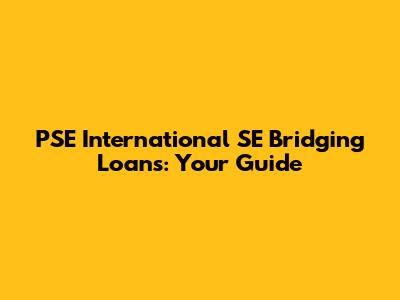 PSE International SE Bridging Loans: Your Guide