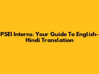 PSEI Interns: Your Guide To English-Hindi Translation