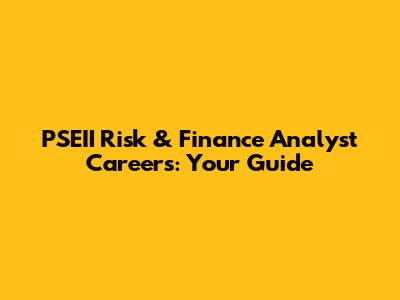 PSEII Risk & Finance Analyst Careers: Your Guide