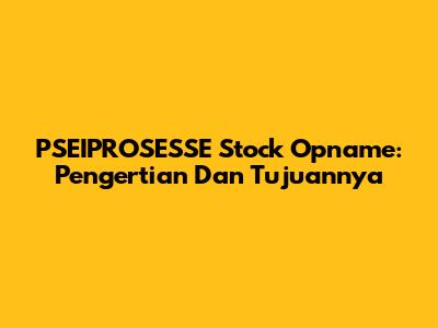 PSEIPROSESSE Stock Opname: Pengertian Dan Tujuannya