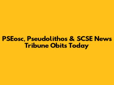 PSEosc, Pseudolithos & SCSE News Tribune Obits Today