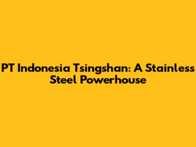 PT Indonesia Tsingshan: A Stainless Steel Powerhouse