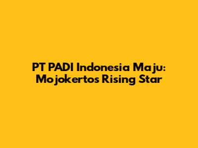 PT PADI Indonesia Maju: Mojokerto's Rising Star