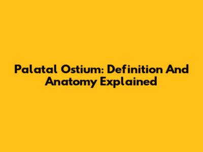 Palatal Ostium: Definition And Anatomy Explained