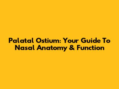 Palatal Ostium: Your Guide To Nasal Anatomy & Function