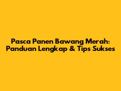 Pasca Panen Bawang Merah: Panduan Lengkap & Tips Sukses