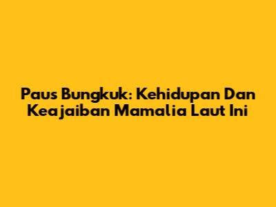 Paus Bungkuk: Kehidupan Dan Keajaiban Mamalia Laut Ini