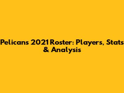 Pelicans 2021 Roster: Players, Stats & Analysis