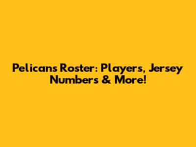 Pelicans Roster: Players, Jersey Numbers & More!