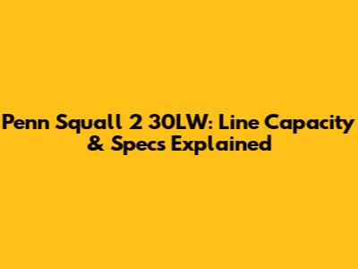 Penn Squall 2 30LW: Line Capacity & Specs Explained