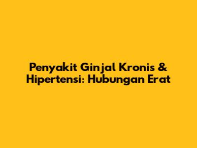 Penyakit Ginjal Kronis & Hipertensi: Hubungan Erat