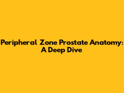 Peripheral Zone Prostate Anatomy: A Deep Dive