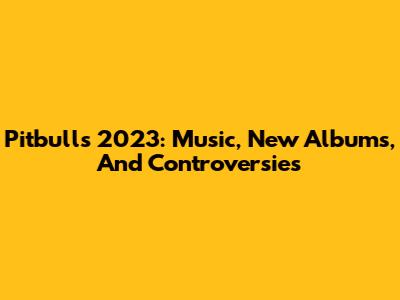 Pitbull's 2023: Music, New Albums, And Controversies