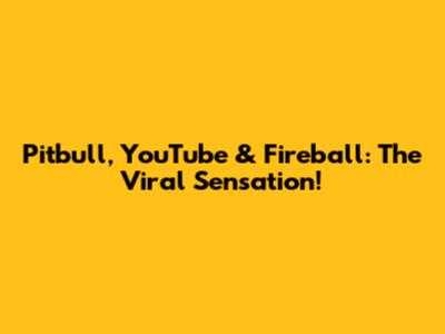Pitbull, YouTube & Fireball: The Viral Sensation!