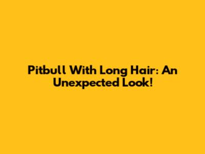 Pitbull With Long Hair: An Unexpected Look!