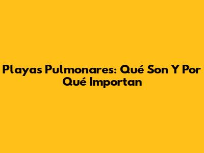 Playas Pulmonares: Qué Son Y Por Qué Importan