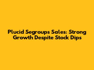 Plucid Segroup's Sales: Strong Growth Despite Stock Dips