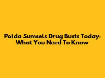 Polda Sumsel's Drug Busts Today: What You Need To Know