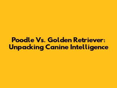 Poodle Vs. Golden Retriever: Unpacking Canine Intelligence
