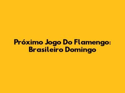 Próximo Jogo Do Flamengo: Brasileiro Domingo