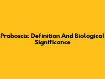 Proboscis: Definition And Biological Significance