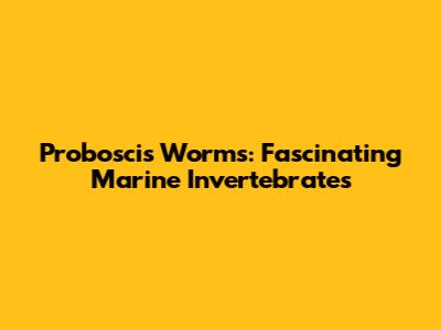 Proboscis Worms: Fascinating Marine Invertebrates