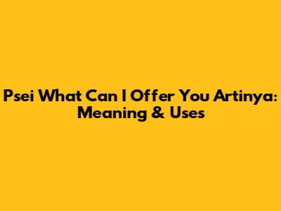 Psei What Can I Offer You Artinya: Meaning & Uses