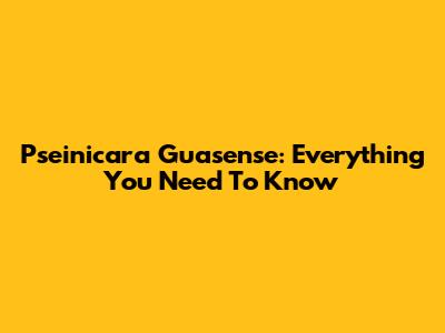 Pseinicara Guasense: Everything You Need To Know