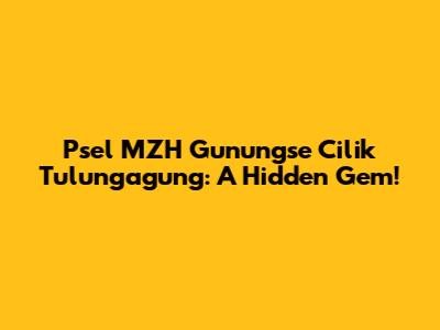 Psel MZH Gunungse Cilik Tulungagung: A Hidden Gem!