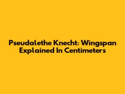 Pseudalethe Knecht: Wingspan Explained In Centimeters