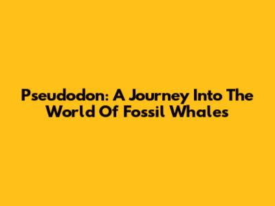 Pseudodon: A Journey Into The World Of Fossil Whales