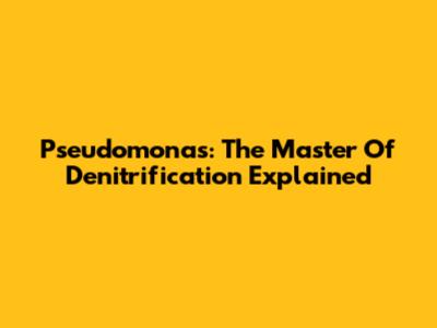 Pseudomonas: The Master Of Denitrification Explained