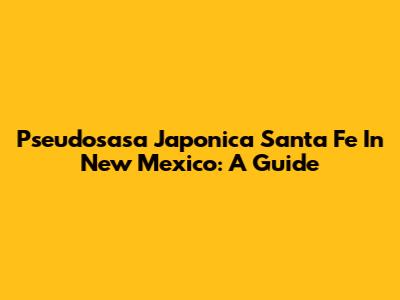 Pseudosasa Japonica 'Santa Fe' In New Mexico: A Guide