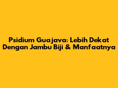 Psidium Guajava: Lebih Dekat Dengan Jambu Biji & Manfaatnya