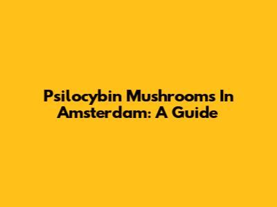 Psilocybin Mushrooms In Amsterdam: A Guide