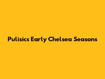 Pulisic's Early Chelsea Seasons