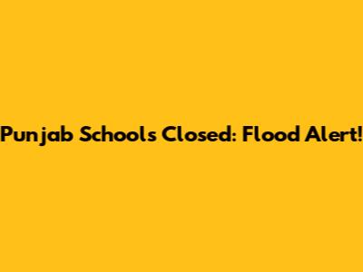 Punjab Schools Closed: Flood Alert!